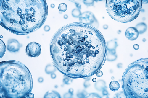 Exosome Complex